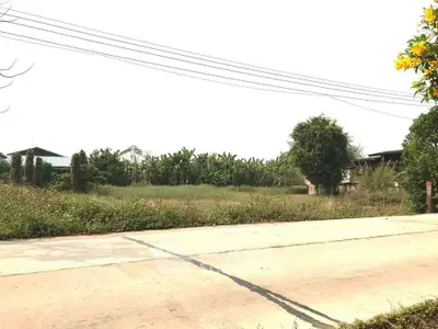 Spacious land plot with lush greenery and clear road access, ideal for development or investment.