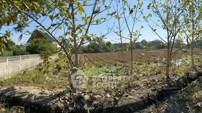 Expansive rural land with potential for development, featuring lush greenery and serene surroundings.