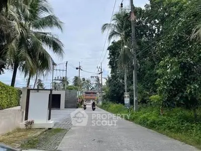 Scenic driveway entrance with lush greenery and palm trees