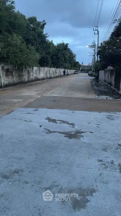 Quiet residential street with lush greenery and concrete pavement, ideal for peaceful living.