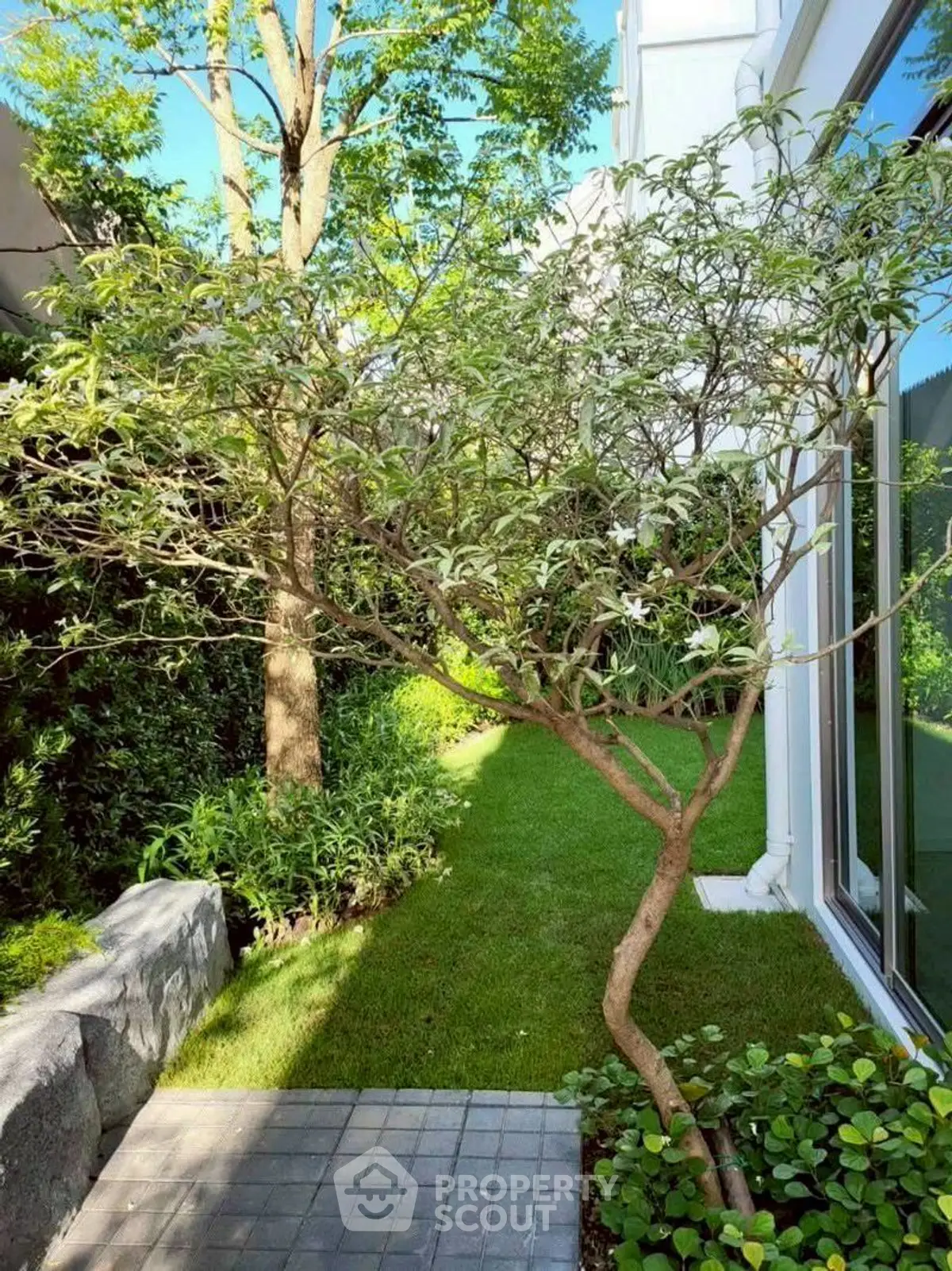 Charming garden view with lush greenery and modern building exterior, perfect for nature lovers.