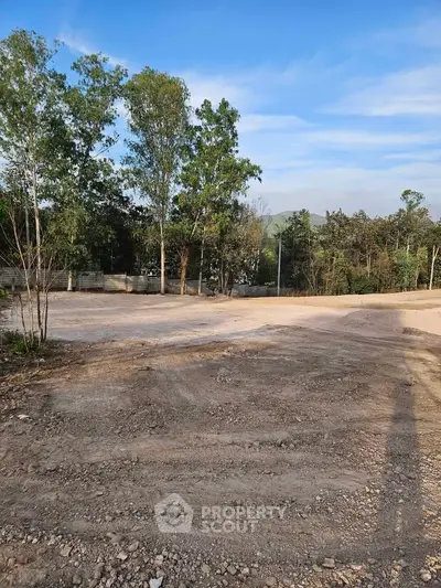 Expansive vacant land with trees, perfect for development opportunities.
