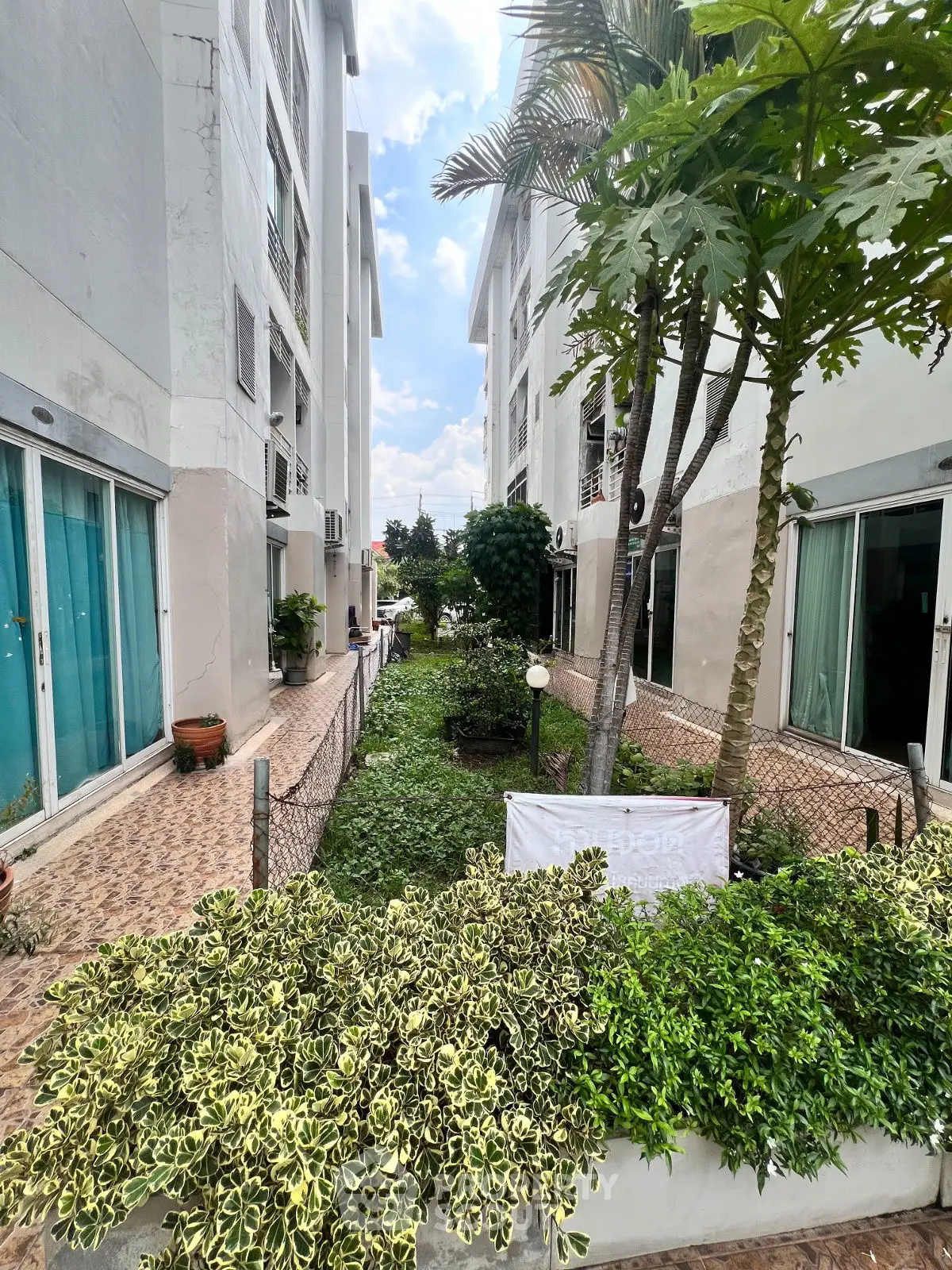 Charming garden view between modern apartment buildings with lush greenery and clear skies.