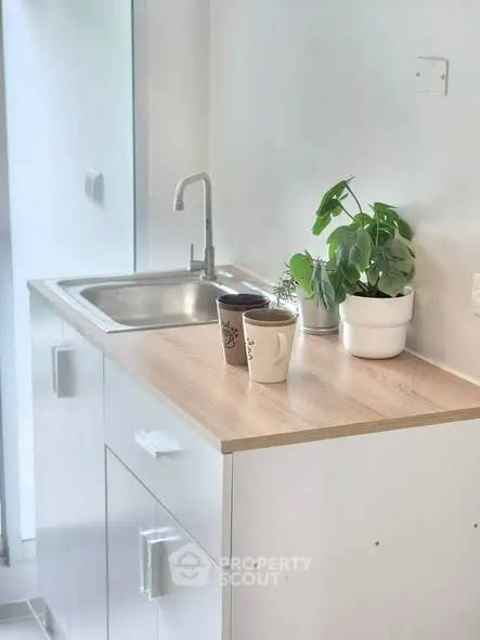 Modern kitchen corner with sleek white cabinets and potted plant decor.