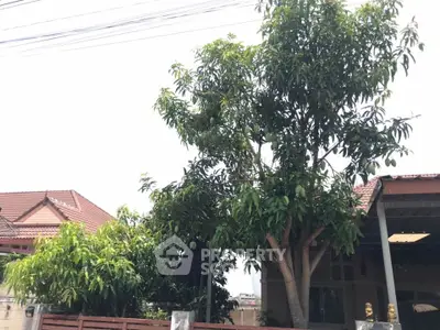 image_rental-31506996