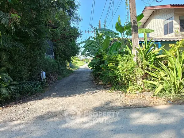 image_rental-31471702