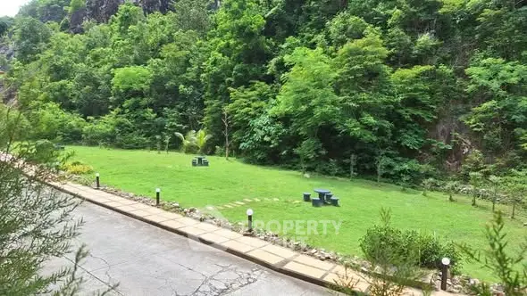 Lush green garden with seating area and scenic forest backdrop