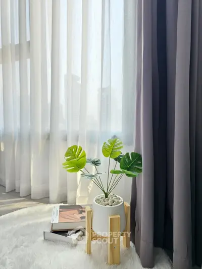 Elegant interior with lush plant and soft curtains in modern living space