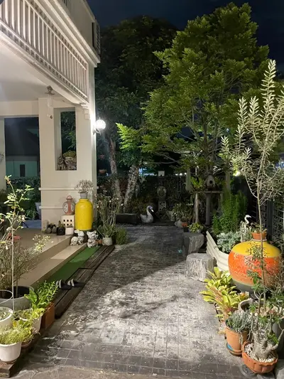 Charming garden view at night with lush greenery and decorative elements