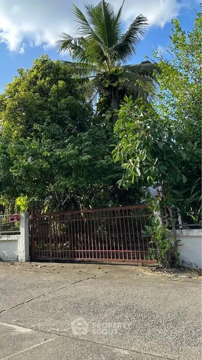 Charming gated entrance surrounded by lush greenery and tropical trees.