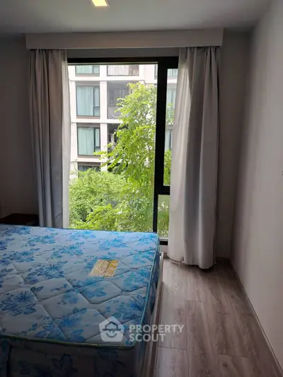 image_rental-30825525