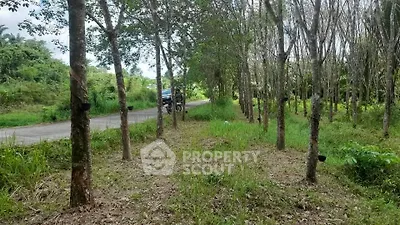 Lush green land with trees ideal for development or agriculture, offering serene natural surroundings.