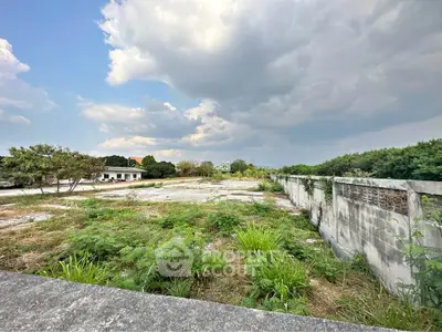 image_rental-31598159