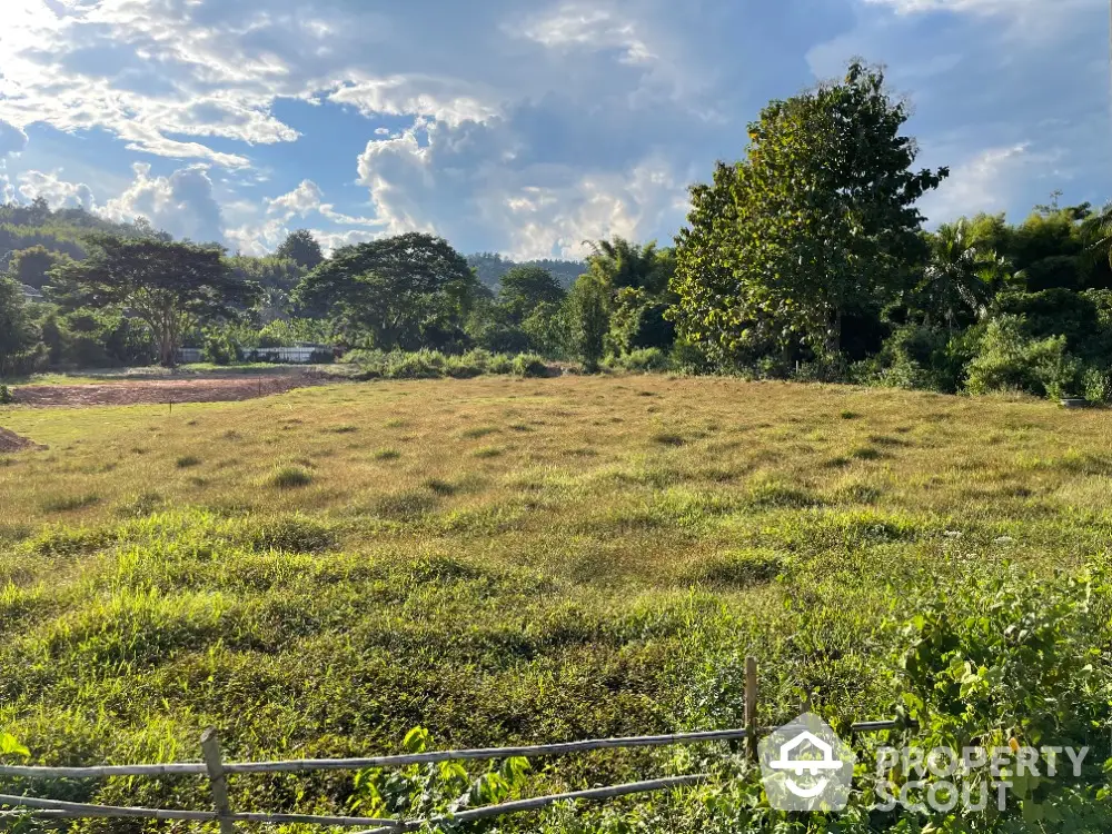 Expansive lush green land under a clear blue sky, ideal for development or a grand estate, surrounded by nature's beauty.