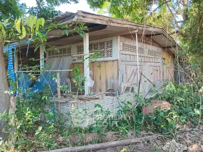 Charming rustic wooden house surrounded by lush greenery, perfect for renovation enthusiasts.