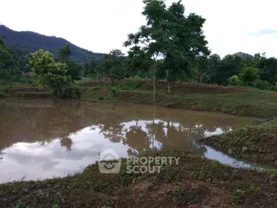 Scenic rural land with pond and lush greenery, ideal for development or agriculture.