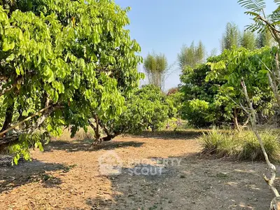 image_rental-31032754