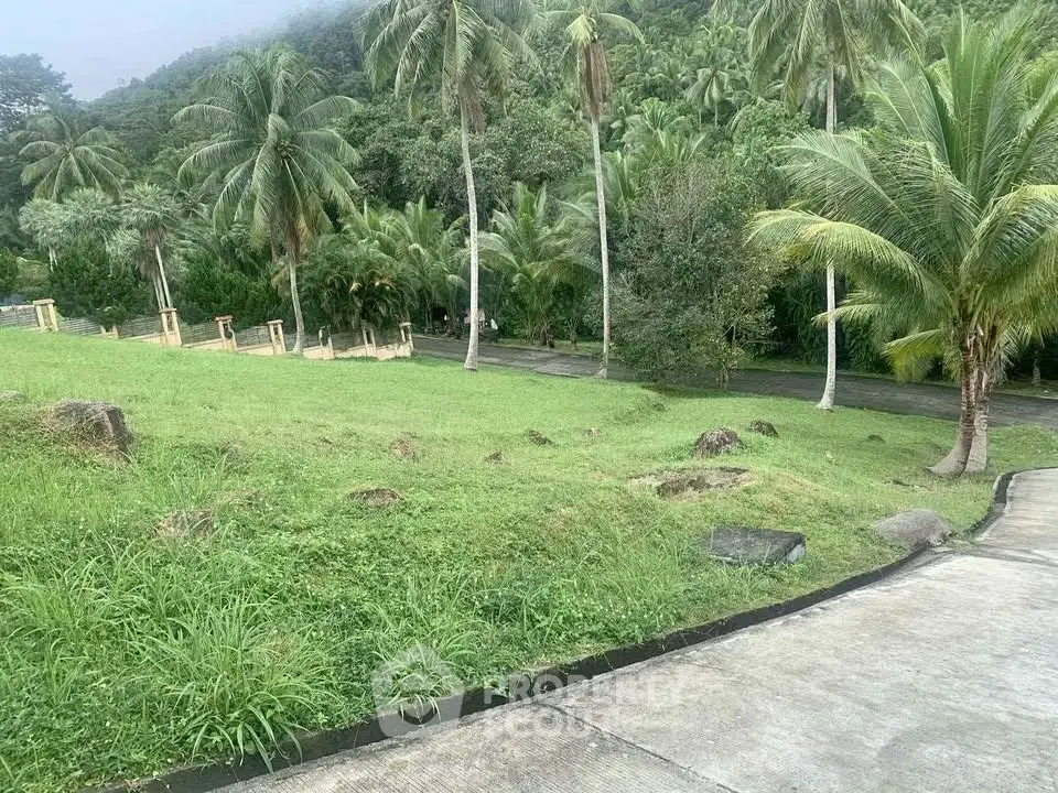 Lush green land with palm trees, perfect for tropical real estate development.