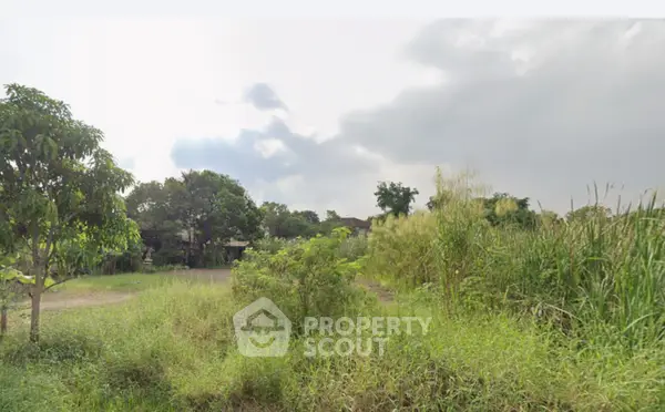 image_rental-29234465