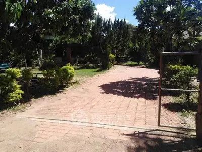 Charming garden entrance with lush greenery and paved pathway
