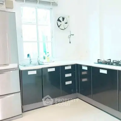 Modern kitchen with sleek black cabinets and stainless steel appliances