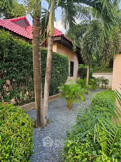 Charming garden pathway with lush greenery and palm trees leading to a cozy house with red roof tiles.