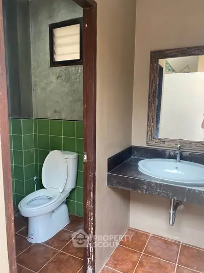Charming bathroom with rustic mirror and modern fixtures, featuring green tiled walls and terracotta flooring.