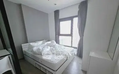 image_rental-30399236