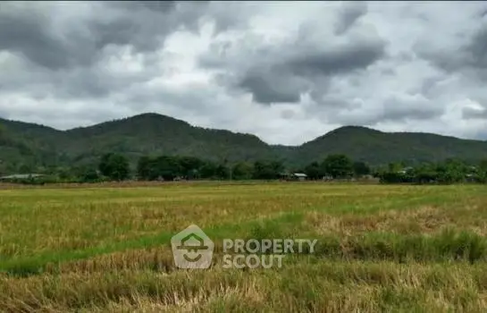 image_rental-21904313