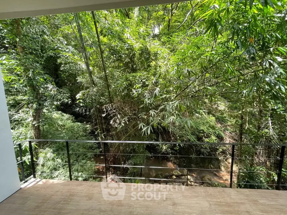 Stunning balcony view overlooking lush green forest and serene stream