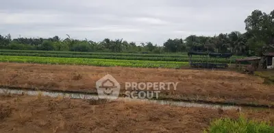 image_rental-15227390