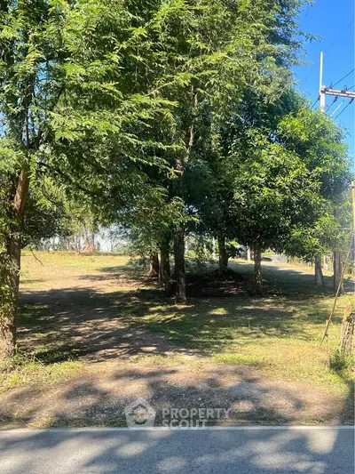 Spacious plot of land with lush trees, perfect for development or investment opportunities.