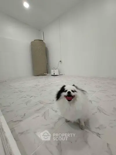 Spacious tiled room with water tank, ideal for storage or utility use.