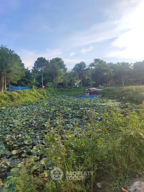 image_rental-31707394