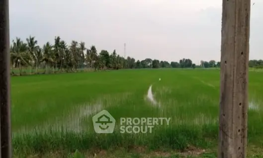 image_rental-22327009