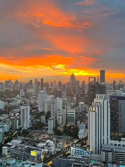 image_rental-28956159