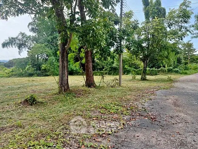 Spacious land plot with lush greenery and trees, ideal for development or investment opportunities.