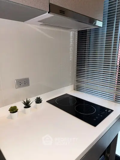 Modern kitchen with sleek induction cooktop and stylish decor