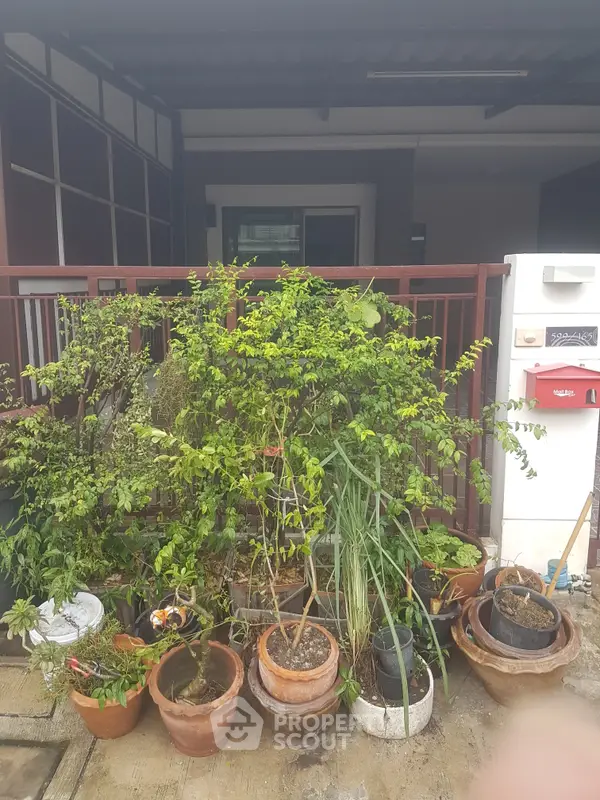 image_rental-6589621