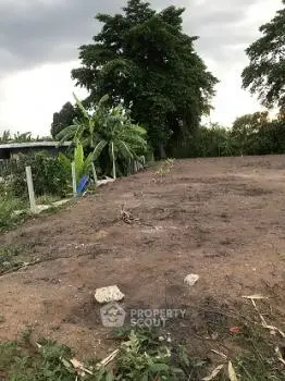 image_rental-19542222