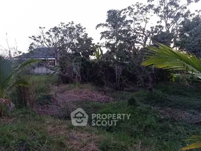 Lush green plot with mature trees, ideal for building a dream home in a serene environment.