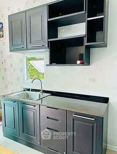 Modern kitchen with sleek black cabinets and stainless steel sink