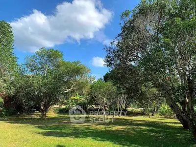 Spacious garden with lush greenery and clear blue sky