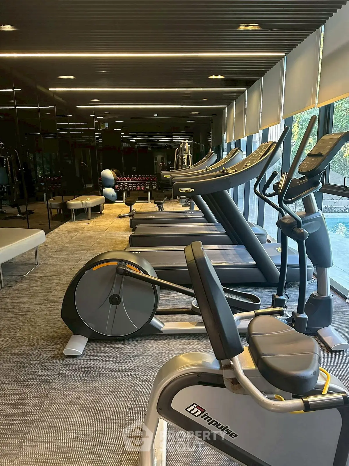 Modern gym with state-of-the-art fitness equipment and large windows for natural light.