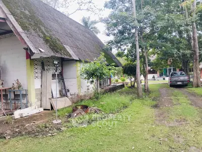 Charming rustic property with lush greenery and spacious outdoor area, perfect for countryside living.