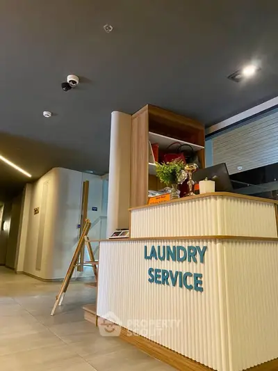 Modern laundry service area with stylish decor and sleek design