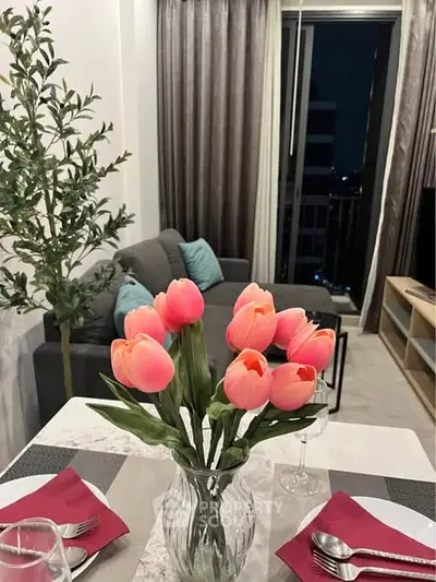 image_rental-30245837