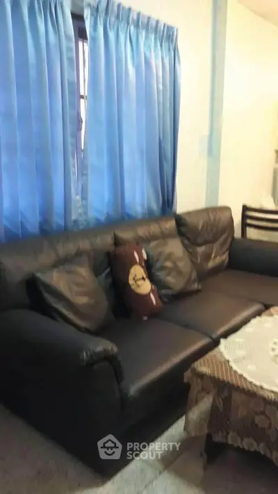 Cozy living room with leather sofa and blue curtains