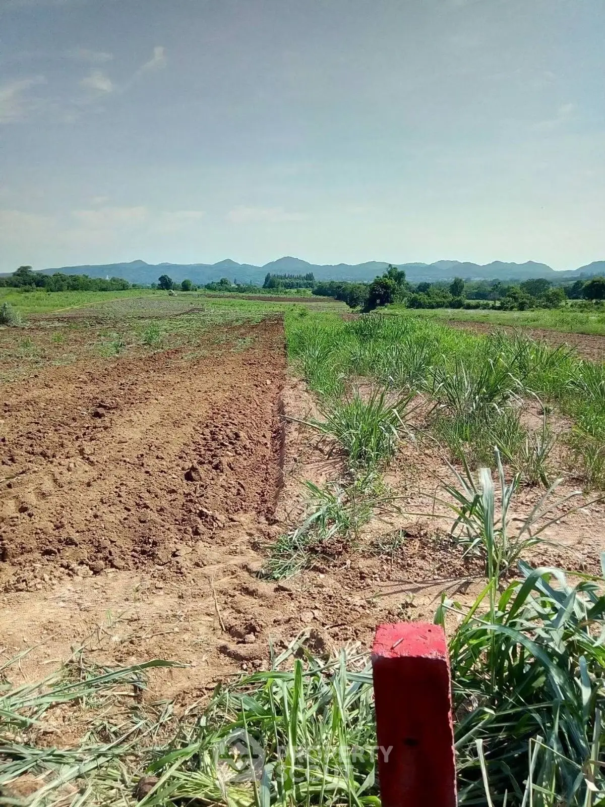 Expansive agricultural land with scenic mountain views, ideal for farming or development opportunities.