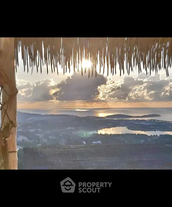 image_rental-31427975